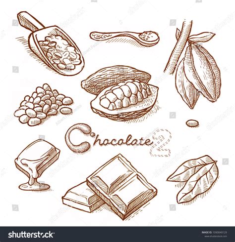 Cocoa Illustration Drawing Engraving 스톡 일러스트 1090040129 | Shutterstock