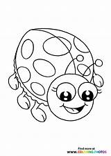 Ladybug Coloring Page Pages sketch template