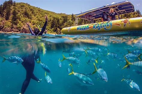 Whitsundays Snorkelling Three-in-One Full Day Experience - Adrenaline