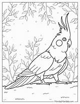 22 Parrot Coloring Pages Free PDF Printables sketch template