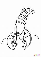 Lobster Flat Coloring Page  Free Printable Pages sketch template