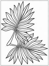 Tropical Palm Leaves sketch template