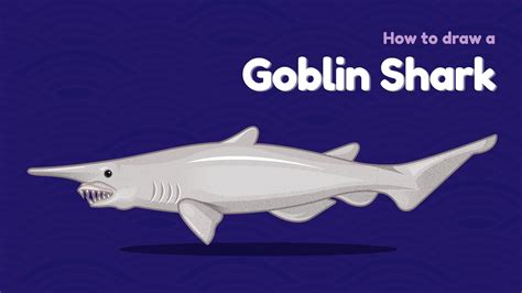 How to draw a sea animal - Goblin Shark? Easy and simple drawing ...