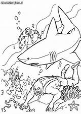 Lego Aquaman Coloring Pages At GetDrawings  Free Download sketch template