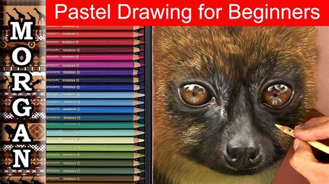 Pastel Drawing for Beginners : Wildlife art techniques : Jason Morgan - YouTube