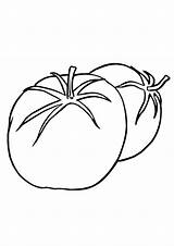 Coloring Pages  Tomato Page sketch template