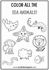 Color All The Sea Animals Worksheet Free Coloring Book PDF  sketch template