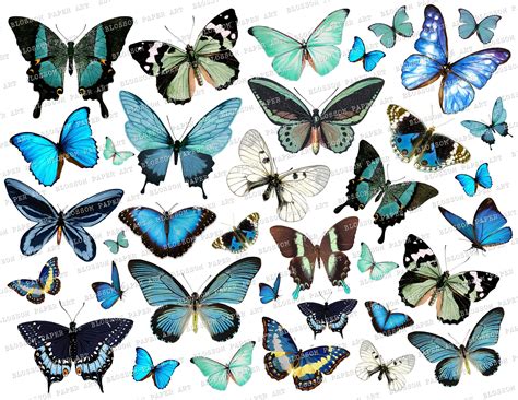 Junk Journal Butterflies Collage Sheet, Printable Vintage Images for journaling, Digital Collage ...