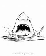 Free Printable Shark Coloring Pages  Free Printables Hub sketch template