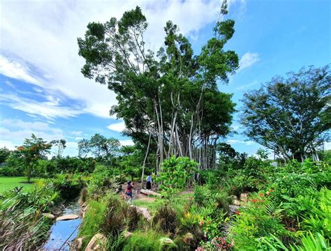 All natural Sembawang Hot Spring Park in Singapore