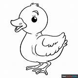 Duckling Coloring Page sketch template