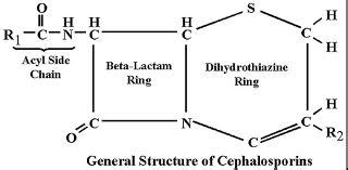 Cephalosporin: structure, classification, clinical use and mode of action