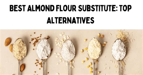 Almond Flour Substitute: Top Alternatives