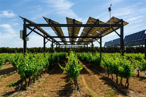 Building a Sustainable Future with Agrovoltaics – Wind Unites Us