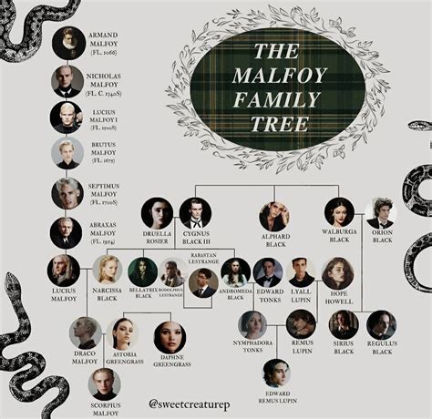 The malfoy family tree | Harry potter family tree, Harry potter ...