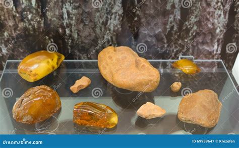 Museum of amber editorial photography. Image of symbol - 69939647