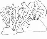 Coral Reef Coloring Pages Printable For Free Download sketch template