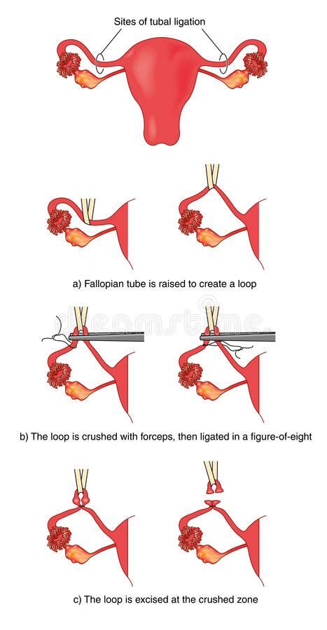 the diagram shows how to use different types of scissors