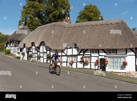 Wherwell, Hampshire, England, UK. August 2019. A male cyclist riding ...