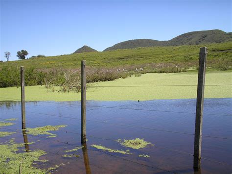 Lagoon Free Stock Photo - Public Domain Pictures