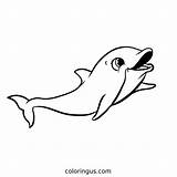 Dolphin Coloring Pages Free Printable PDF sketch template