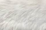 White Natural Fur Background Stock Photo  Download Image Now sketch template