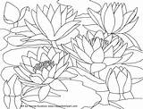 Water Coloring Pages sketch template