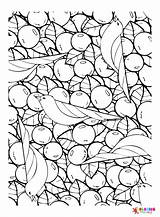 20  Blueberry Coloring Pages Free Printable PDF & Online sketch template