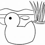 Simple Duck Cartoon Coloring Page  Mitraland sketch template