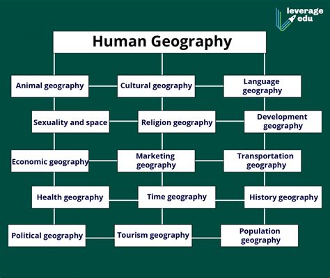 What are the Branches of Geography? Explained in Detail | Leverage Edu