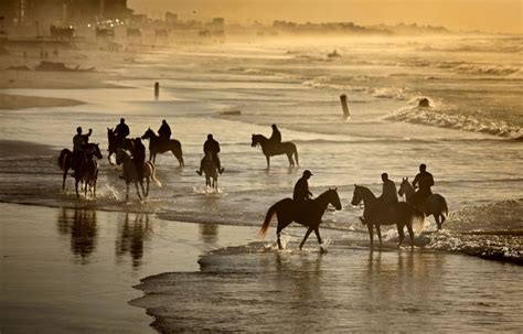 Palestinian horseman on the Gaza shore – Middle East Monitor