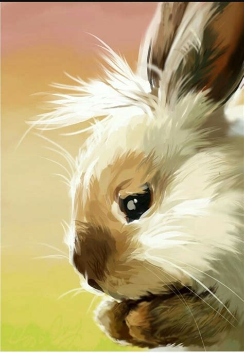 Lionhead Rabbit image | Bunny art, Rabbit art, Rabbit painting