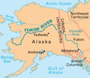 Yukon River Chinook salmon: Alaska Exceeds Canadian Escapement Goal, Decline Remains a Mystery ...