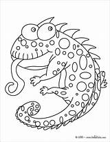 Chameleon Coloring Pages  ColoringBay sketch template