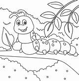 Caterpillar Coloring Page For Kids 5073825 Vector Art At Vecteezy sketch template
