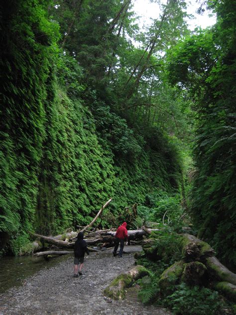 Fern Canyon – State of Wilderness