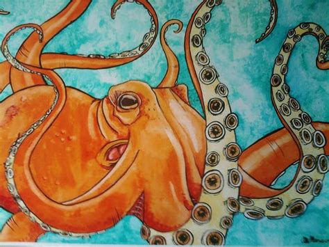 67 best vintage octopus illustration tattoo images on Pinterest