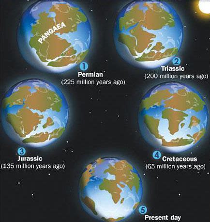 Cataclysmic Continental Shift: Punctuated Equilibrium: What Causes It?