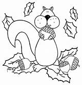 Squirrel With Acorn Template Coloring Pages sketch template
