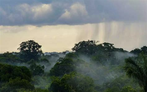 Amazon Rainforest Climate Data - Jere Robina