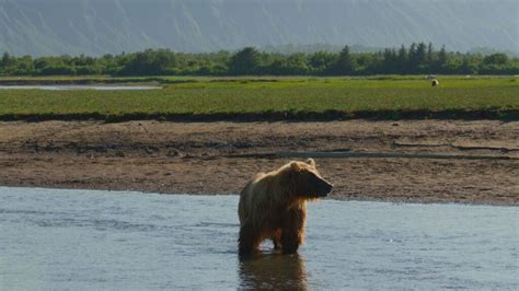 Our Universe Review: Enthralling Docu-Series That Connects Nature With ...