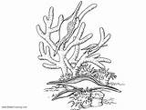 Drawing Underwater Coral Reef Sketch Coloring Page sketch template