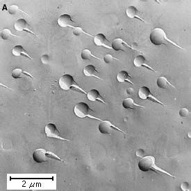 Phase separation | physics | Britannica