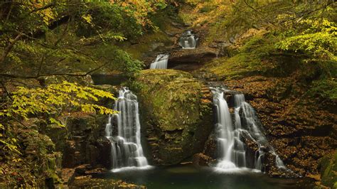 Forest Waterfall UHD 8K Wallpaper | Pixelz