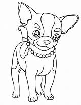 Happy Chihuahua Dog Coloring Page  Free Printable Pages For Kids sketch template