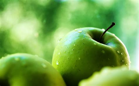 Green Apple wallpaper | 1280x800 | #5010