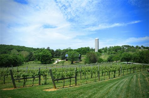 Weekend Getaways in Virginia Wine Country | Lizzy Loves Food