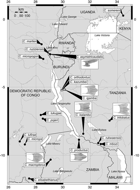 Map of the general area surrounding Lake Tanganyika showing the type ...