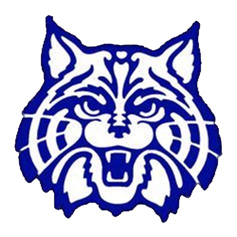 Meridian Wildcats Girls Basketball - Meridian, MS - scorebooklive.com