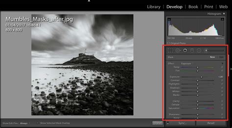 How to Use the Adjustment Brush in Lightroom | Nature TTL